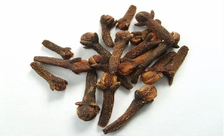 Benefits of Cloves to a Woman's Fertility