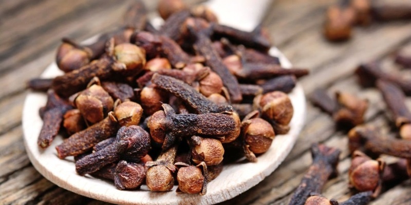 Benefits Of Cloves Sexually For Females