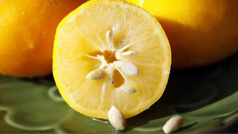 Benefits Of Lemon Seeds
