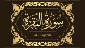 benefits of surah baqarah